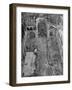 Ruins of Coventry Cathedral after Bombing by Germans During WWII-null-Framed Photographic Print