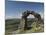 Ruins of Dinas Bran Castle and Village of Llangollen Below, Denbighshire-Richard Maschmeyer-Mounted Photographic Print