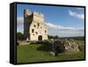 Ruins of Donnington Castle, Newbury, Berkshire, England-Stuart Black-Framed Stretched Canvas