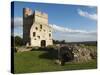 Ruins of Donnington Castle, Newbury, Berkshire, England-Stuart Black-Stretched Canvas