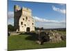 Ruins of Donnington Castle, Newbury, Berkshire, England-Stuart Black-Mounted Photographic Print