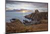 Ruins of Dunskey Castle on rugged coastline at sunset-Stuart Black-Mounted Photographic Print