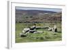 Ruins of Early Bronze Age House, About 3500 Years Old, Grimspound-David Lomax-Framed Photographic Print