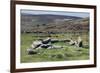 Ruins of Early Bronze Age House, About 3500 Years Old, Grimspound-David Lomax-Framed Photographic Print