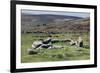 Ruins of Early Bronze Age House, About 3500 Years Old, Grimspound-David Lomax-Framed Photographic Print