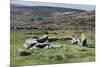Ruins of Early Bronze Age House, About 3500 Years Old, Grimspound-David Lomax-Mounted Photographic Print