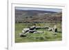 Ruins of Early Bronze Age House, About 3500 Years Old, Grimspound-David Lomax-Framed Photographic Print