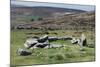 Ruins of Early Bronze Age House, About 3500 Years Old, Grimspound-David Lomax-Mounted Photographic Print