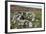 Ruins of Early Bronze Age House, About 3500 Years Old, Grimspound-David Lomax-Framed Photographic Print