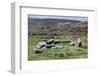 Ruins of Early Bronze Age House, About 3500 Years Old, Grimspound-David Lomax-Framed Photographic Print