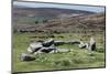 Ruins of Early Bronze Age House, About 3500 Years Old, Grimspound-David Lomax-Mounted Photographic Print