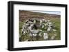 Ruins of Early Bronze Age House, About 3500 Years Old, Grimspound-David Lomax-Framed Photographic Print