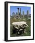 Ruins of Early Christian Basilica, Hermopolis Magna, Egypt-null-Framed Giclee Print