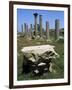 Ruins of Early Christian Basilica, Hermopolis Magna, Egypt-null-Framed Giclee Print