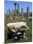 Ruins of Early Christian Basilica, Hermopolis Magna, Egypt-null-Mounted Giclee Print