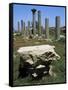 Ruins of Early Christian Basilica, Hermopolis Magna, Egypt-null-Framed Stretched Canvas