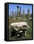 Ruins of Early Christian Basilica, Hermopolis Magna, Egypt-null-Framed Stretched Canvas