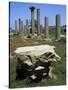 Ruins of Early Christian Basilica, Hermopolis Magna, Egypt-null-Stretched Canvas