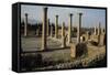 Ruins of Forum, Roman City of Timgad-null-Framed Stretched Canvas