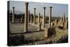 Ruins of Forum, Roman City of Timgad-null-Stretched Canvas