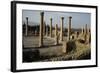 Ruins of Forum, Roman City of Timgad-null-Framed Photographic Print