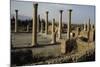 Ruins of Forum, Roman City of Timgad-null-Mounted Photographic Print