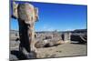 Ruins of Great Temple of Amun, Tanis, Egypt-null-Mounted Giclee Print