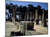 Ruins of Greek-Roman-Era Synagogue at Capernaum, Sea of Galilee, Israel-null-Mounted Giclee Print