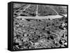 Ruins of Hiroshima after the Atomic Bomb Blast-null-Framed Stretched Canvas