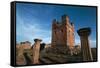Ruins of Jesuit Missions of Most Holy Trinity of Parana and Jesus of Tavarangue-null-Framed Stretched Canvas