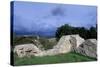 Ruins of Lihula Castle, First Mentioned in 13th Century, Estonia-null-Stretched Canvas