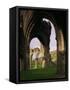 Ruins of Llanthony Priory, Vale of Ewyas, Black Mountains, Gwent, Wales, United Kingdom-Adam Woolfitt-Framed Stretched Canvas