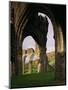 Ruins of Llanthony Priory, Vale of Ewyas, Black Mountains, Gwent, Wales, United Kingdom-Adam Woolfitt-Mounted Photographic Print