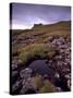 Ruins of Macdonalds' Duntulm Castle, Trotternish, Isle of Skye, Highland Region, Scotland, UK-Patrick Dieudonne-Stretched Canvas