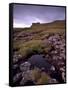 Ruins of Macdonalds' Duntulm Castle, Trotternish, Isle of Skye, Highland Region, Scotland, UK-Patrick Dieudonne-Framed Stretched Canvas