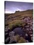 Ruins of Macdonalds' Duntulm Castle, Trotternish, Isle of Skye, Highland Region, Scotland, UK-Patrick Dieudonne-Stretched Canvas