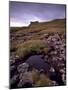 Ruins of Macdonalds' Duntulm Castle, Trotternish, Isle of Skye, Highland Region, Scotland, UK-Patrick Dieudonne-Mounted Photographic Print