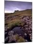 Ruins of Macdonalds' Duntulm Castle, Trotternish, Isle of Skye, Highland Region, Scotland, UK-Patrick Dieudonne-Mounted Photographic Print