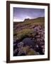 Ruins of Macdonalds' Duntulm Castle, Trotternish, Isle of Skye, Highland Region, Scotland, UK-Patrick Dieudonne-Framed Photographic Print