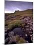 Ruins of Macdonalds' Duntulm Castle, Trotternish, Isle of Skye, Highland Region, Scotland, UK-Patrick Dieudonne-Mounted Photographic Print