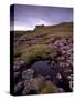 Ruins of Macdonalds' Duntulm Castle, Trotternish, Isle of Skye, Highland Region, Scotland, UK-Patrick Dieudonne-Stretched Canvas