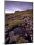 Ruins of Macdonalds' Duntulm Castle, Trotternish, Isle of Skye, Highland Region, Scotland, UK-Patrick Dieudonne-Mounted Premium Photographic Print