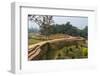 Ruins of Mahasthangarh, one of the earliest urban archaeological sites in Bangladesh-Keren Su-Framed Photographic Print