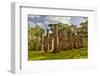 Ruins of Old Sheldon Church, South Carolina-Darrell Gulin-Framed Photographic Print