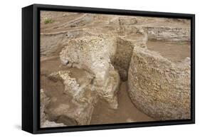 Ruins of Otrar (Utrar or Farab), Kazakhstan.-Dmitry Chulov-Framed Stretched Canvas