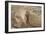 Ruins of Otrar (Utrar or Farab), Kazakhstan.-Dmitry Chulov-Framed Photographic Print