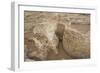 Ruins of Otrar (Utrar or Farab), Kazakhstan.-Dmitry Chulov-Framed Photographic Print