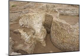 Ruins of Otrar (Utrar or Farab), Kazakhstan.-Dmitry Chulov-Mounted Photographic Print