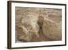 Ruins of Otrar (Utrar or Farab), Kazakhstan.-Dmitry Chulov-Framed Photographic Print