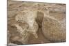 Ruins of Otrar (Utrar or Farab), Kazakhstan.-Dmitry Chulov-Mounted Photographic Print